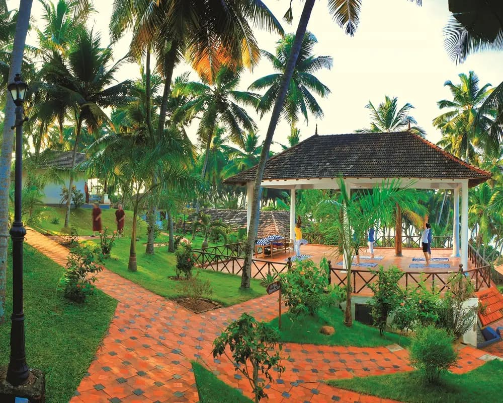 Image cover